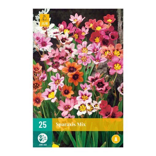 Zigeunerbloem bollen Sparaxis Mix (zakje van 25 stuks)